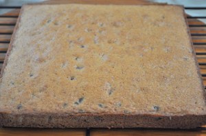 Graham Cracker Chocolate Chip Snacking Cake 2