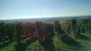 IMG_20140912_103500268