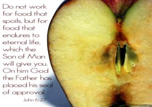john6_27