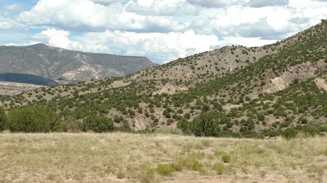 IMG_20160811_143605845